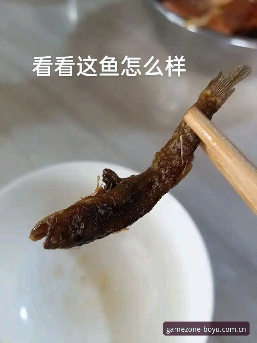 如何通过博鱼体育官网入口解锁博鱼综合平台的2024全新体验？